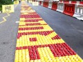 fruitmosaic26