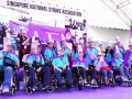purplehats24a