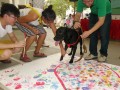 montage-petprints13