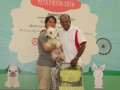 montage-petprints5