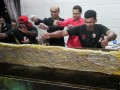 murtabak-largest22