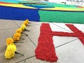 IMG_0617