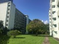 ex-neighbours291_n