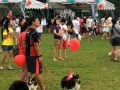 20170708 Longest Dogwalk Line@SHF bishan park (1)