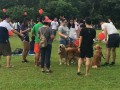 20170708 Longest Dogwalk Line@SHF bishan park (2)