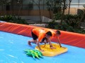 waterslide2