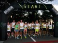 handpaintedrun20