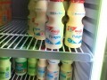 cultured milk02
