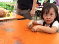 pick-up sticks 01 (17)