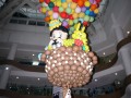 tallestballoon-ws14