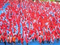 Largest Display Of Calligraphy