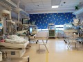 231117-kangaroocare-05