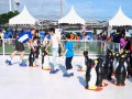 iceskating-synthetic4