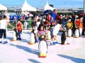 iceskating-synthetic6