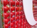 Largest National Flag Made Of Ping Pong Balls