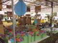 Largest Garden Made of Recycled Materials