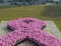 Largest Human Formation Of A Ribbon