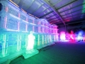 Largest Ice Sculpture  Exhibition