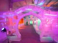 Largest Ice Sculpture Exhibition