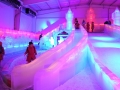 Largest Ice Sculpture  Exhibition
