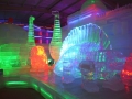 Largest Ice Sculpture  Exhibition