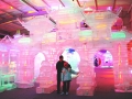 Largest Ice Sculpture  Exhibition