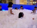 I12 largest ball pool (14)