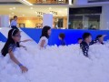 I12 largest ball pool (15)