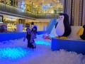 I12 largest ball pool (16)