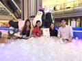 I12 largest ball pool (17)