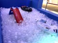 I12 largest ball pool (25)
