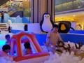 I12 largest ball pool (9)