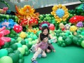 balloonlandscape16b-16