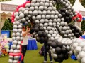 balloonbyindividual14