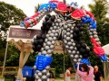 balloonbyindividual30