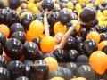 Largest Balloon Treasure Hunt