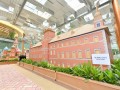 largest cardboard landscape (13)