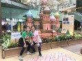 largest cardboard landscape (5)