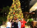 xmastree-cd18