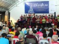 xmastree-cd6
