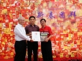 Largest Collage Made Of Chinese New Year Cards