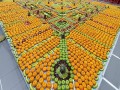 240128-collage-fruits22