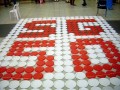 Largest Collage Made Of Plastic Plates