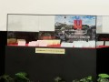 220211-forecasts-timecapsule-02