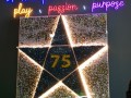 210726-displaycase-paperstars13