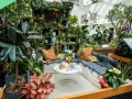 230616-balcony-landscapes-02
