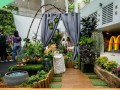 230616-balcony-landscapes-05