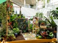 230616-balcony-landscapes-10