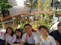 230616-balcony-landscapes-15