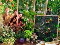 230616-balcony-landscapes-16